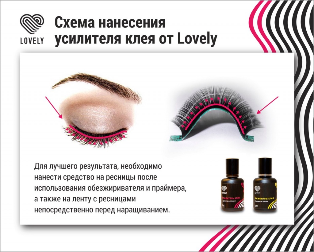 Липа золотое дерево. Описание, посадка и уход Конкурсы для Корпоратива - Коллекция Конкурсов - Конкурсы